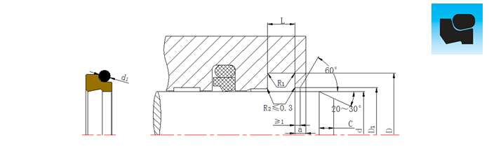 DSZ組合防塵圈切面結構設計平面圖.jpg DSZ組合防塵圈切面結構設計平面圖.jpg