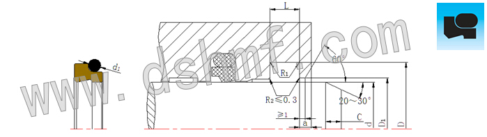 組合防塵圈DSZL結構切面和 組合防塵圈DSZL結構切面和