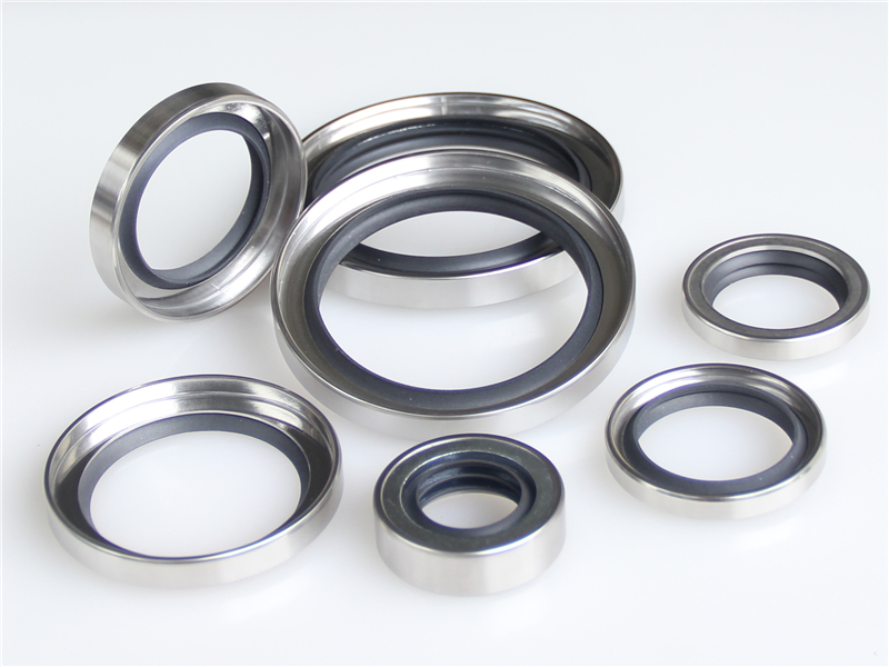 不銹鋼油封，骨架油封
