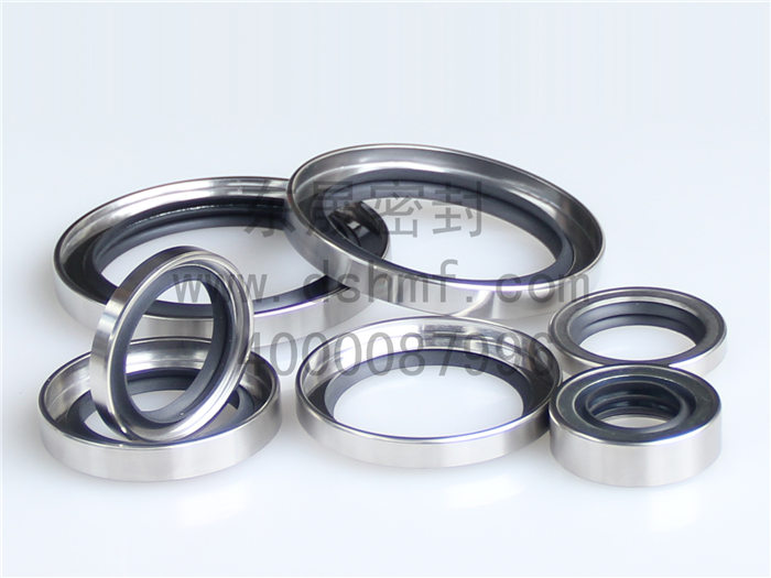 不銹鋼金屬油封密封件產(chǎn)品 不銹鋼金屬油封密封件產(chǎn)品