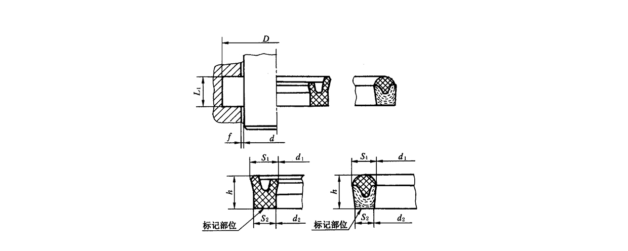 中型活塞桿密封溝槽Y型密封圈及蕾形密封圈型式結構圖