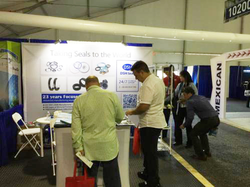 11我們《東晟密封》的Shirmey xu mm正在專業的向客人講解。