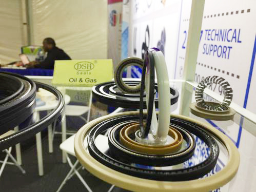 21東晟密封系列之一：泵閥用泛塞封！