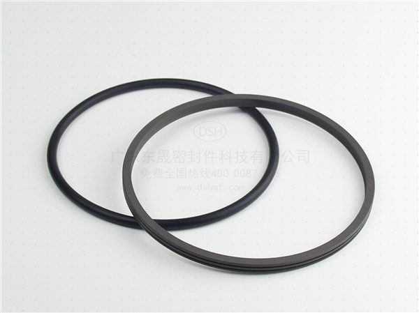 旋轉(zhuǎn)唇形油封,密封圈