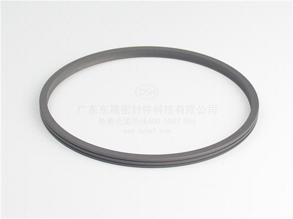 旋轉(zhuǎn)唇形油封,密封圈