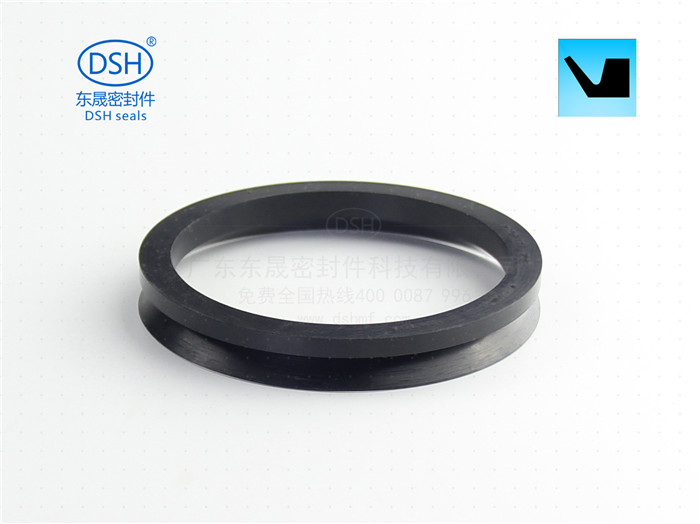 端面水封DVS，橡膠密封件