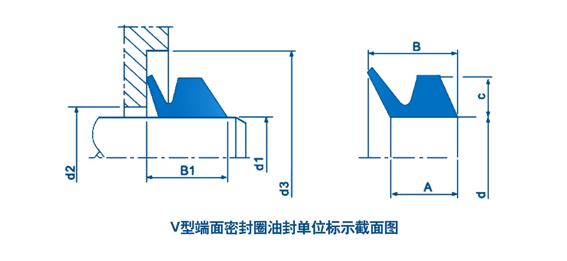 V型端面密封圈油封單位標示截面圖