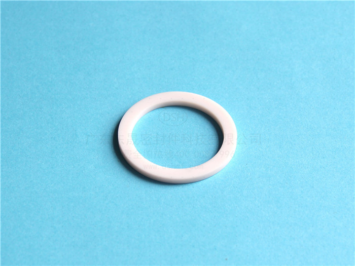 聚四氟乙烯墊片