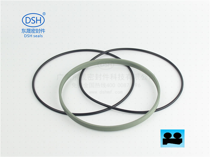 雙O型組合防塵圈DPE
