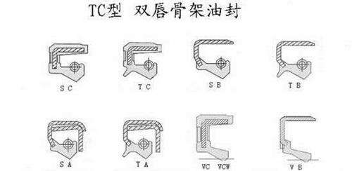 TC雙唇口骨架油封結(jié)構(gòu)圖
