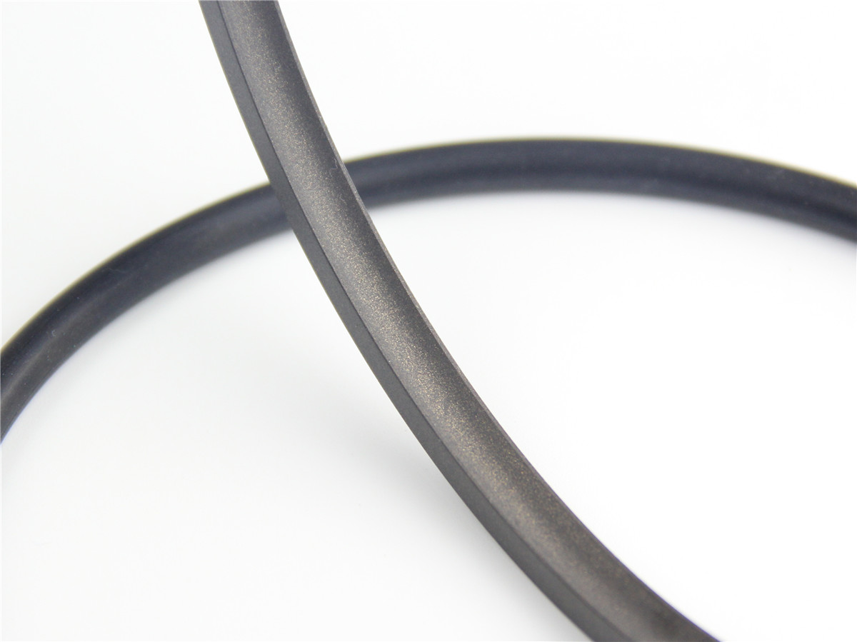 孔用旋轉格萊密封圈DNS