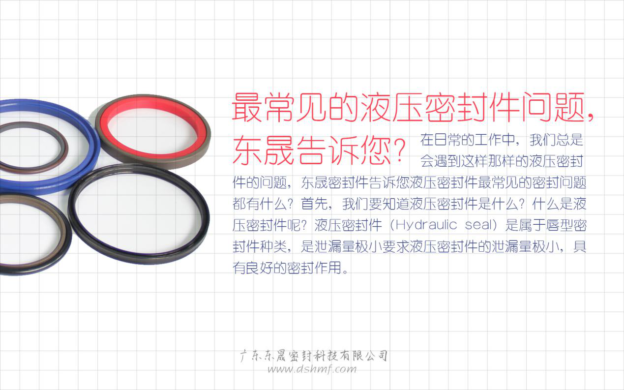（二）液壓密封件的常見問(wèn)題解答？