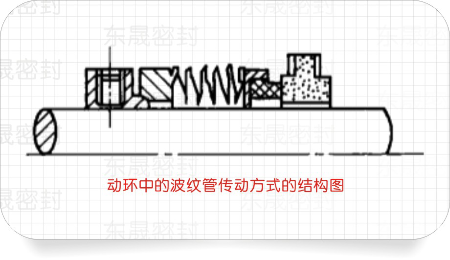 動環(huán)中的波紋管傳動方式的結(jié)構(gòu)圖