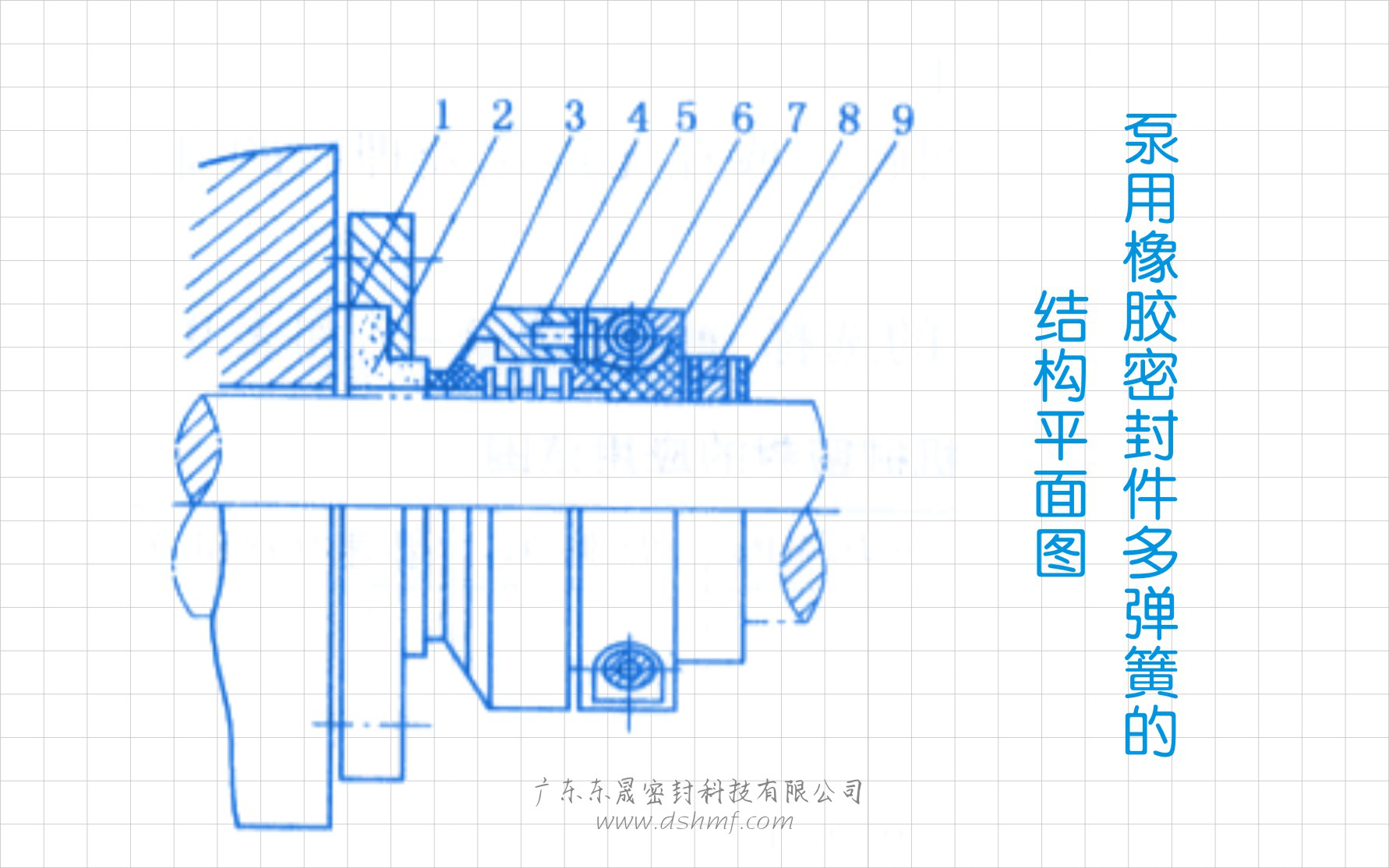 泵用橡膠密封件多彈簧的結(jié)構(gòu)平面圖