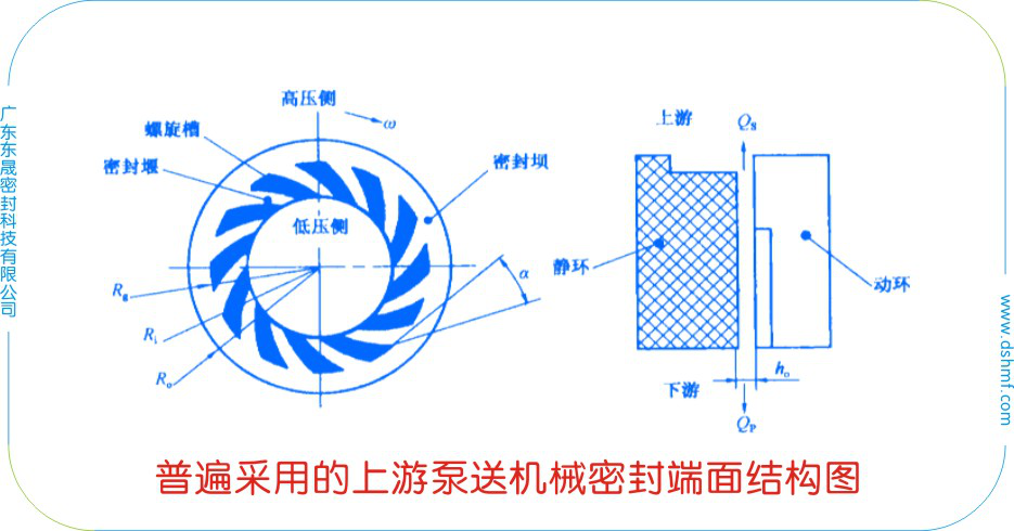普遍采用的上游泵送密封件的端面結(jié)構(gòu)圖