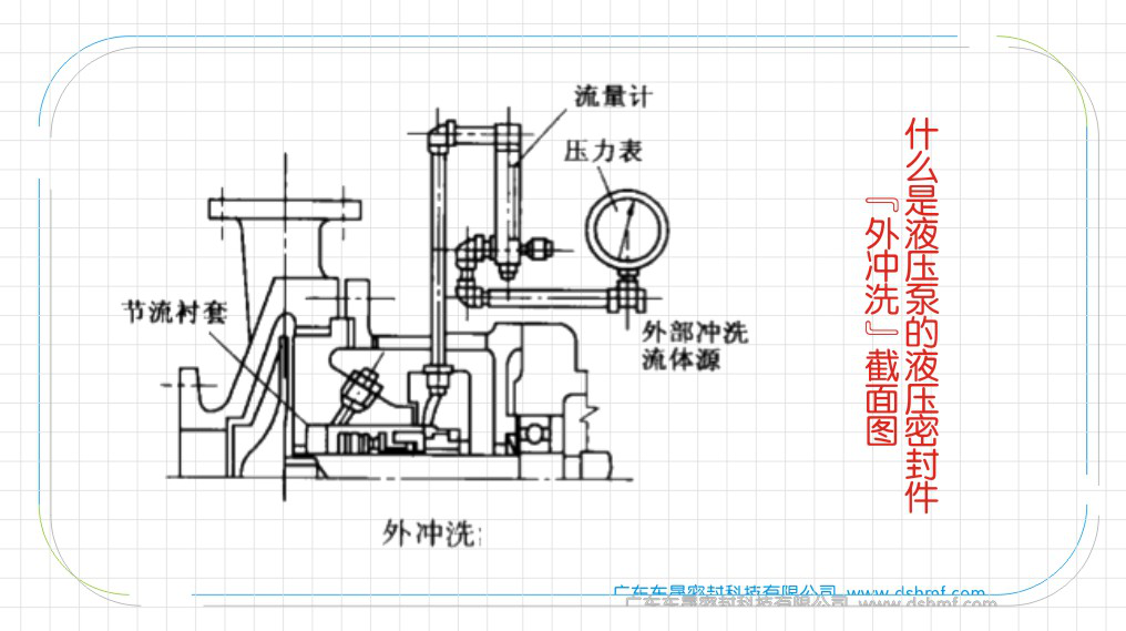 “外沖洗”液壓泵的密封件結構截面圖