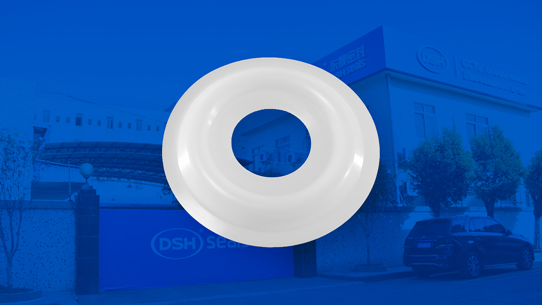 米頓羅計(jì)量泵膜片 （又叫隔膜、密封件、密封圈、油封） (2)