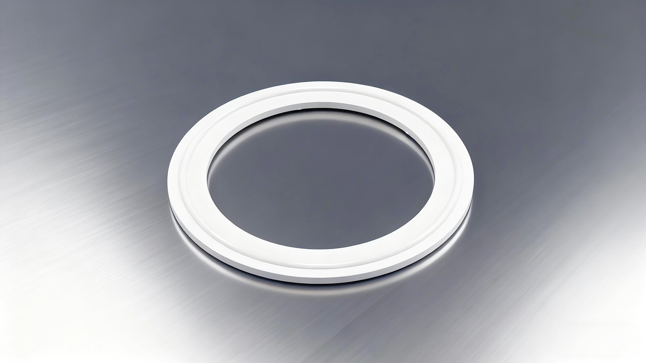 食品級密封墊圈2000 (2)