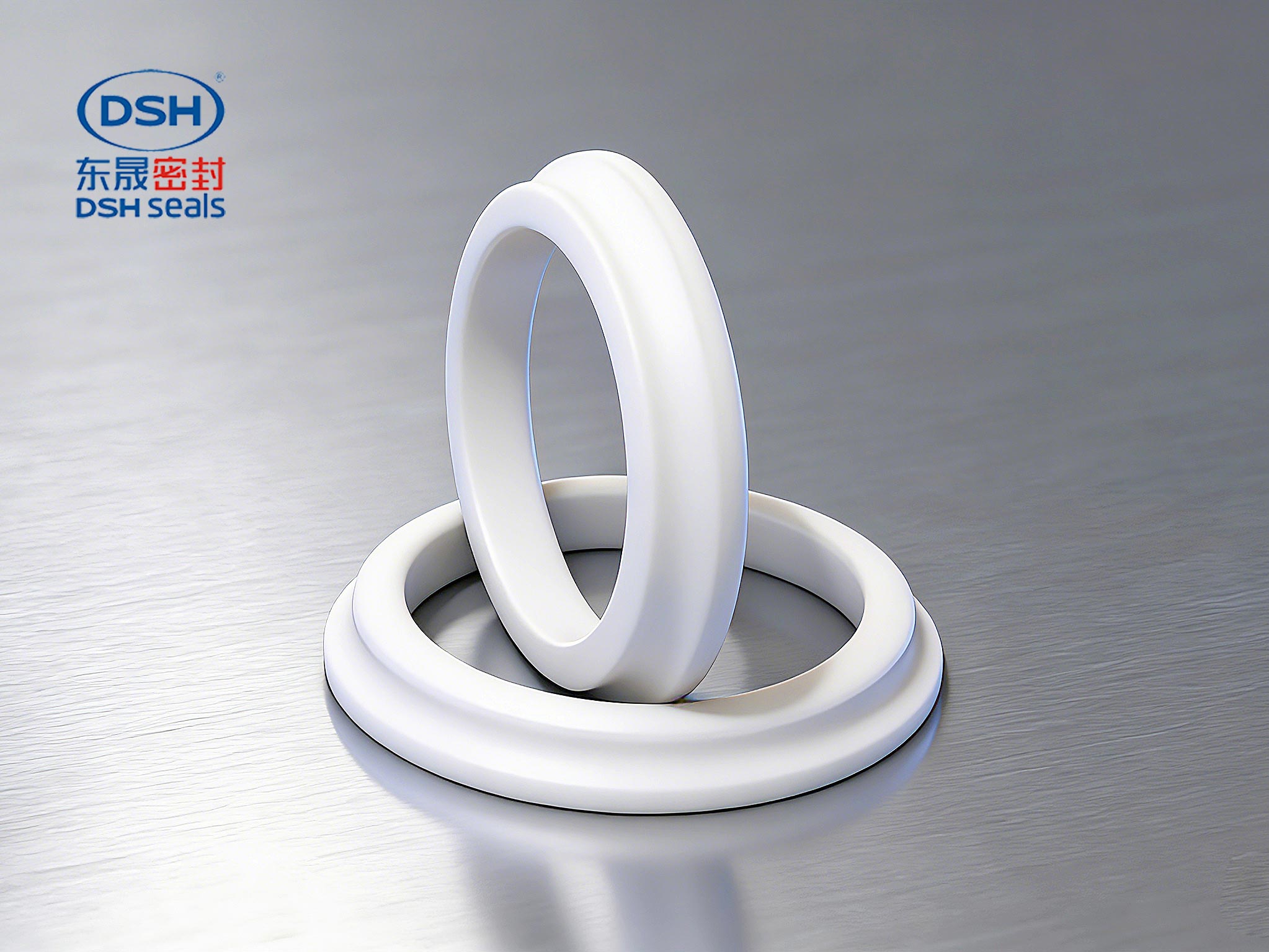 防塵圈DSZ - 定制防塵圈是除去往復(fù)運(yùn)動(dòng)活塞桿露在缸外部表面上所附著的塵土、灰砂、雨水及冰霜等污物…… 防塵圈DSZ - 定制防塵圈是除去往復(fù)運(yùn)動(dòng)活塞桿露在缸外部表面上所附著的塵土、灰砂、雨水及冰霜等污物……