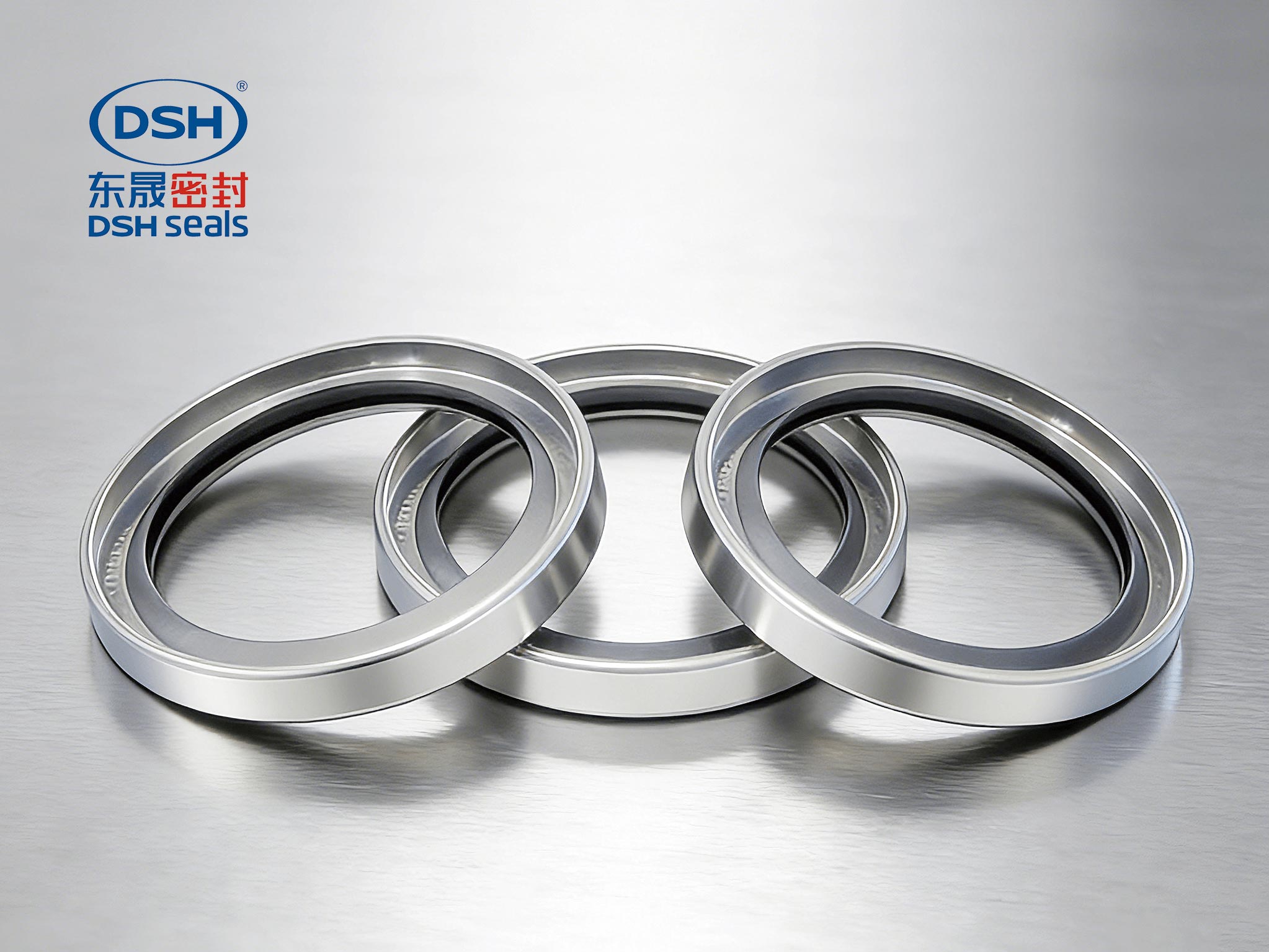 不銹鋼油封A型-2000 (2)