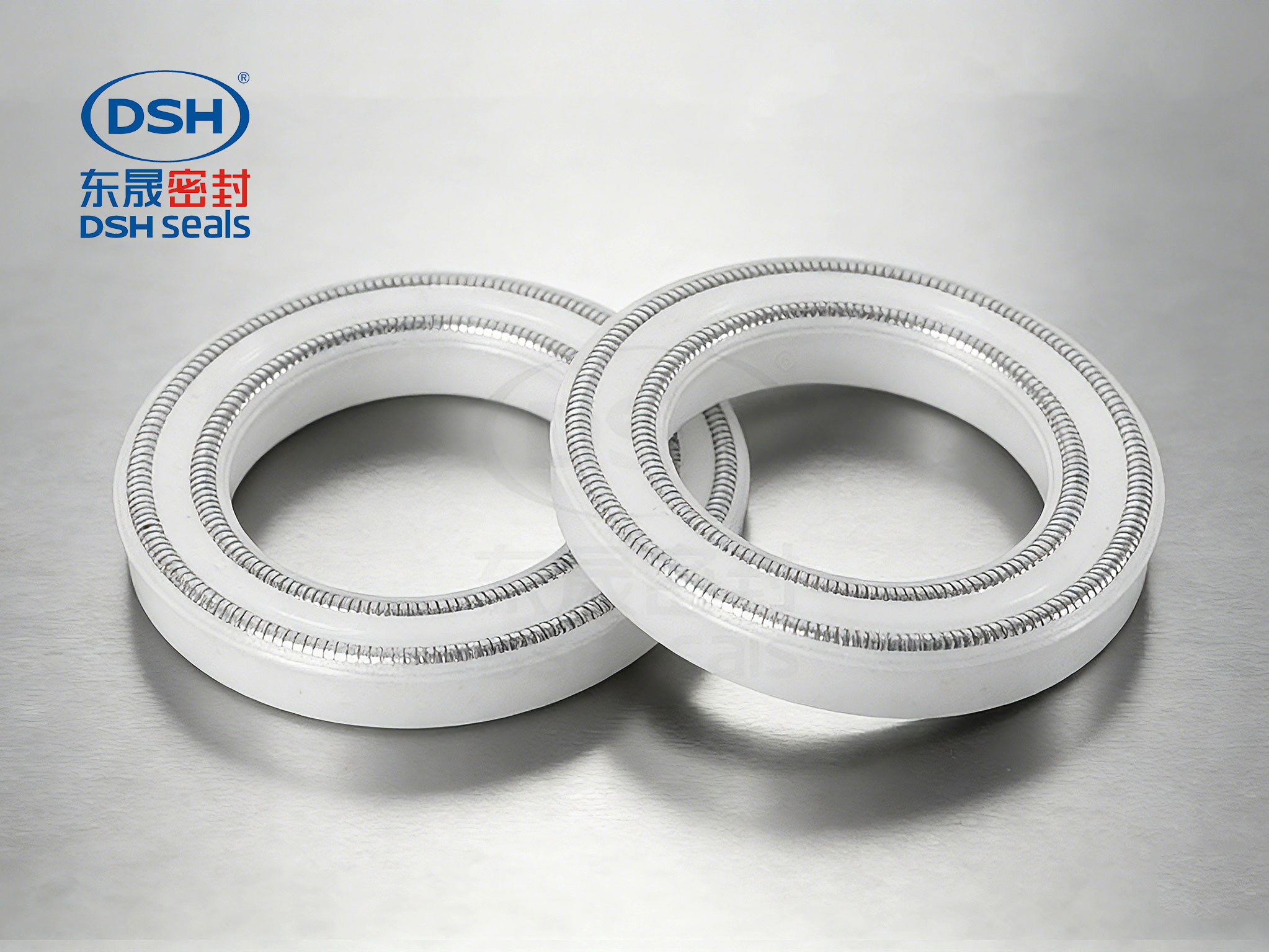雙層彈簧泛塞封密封件450