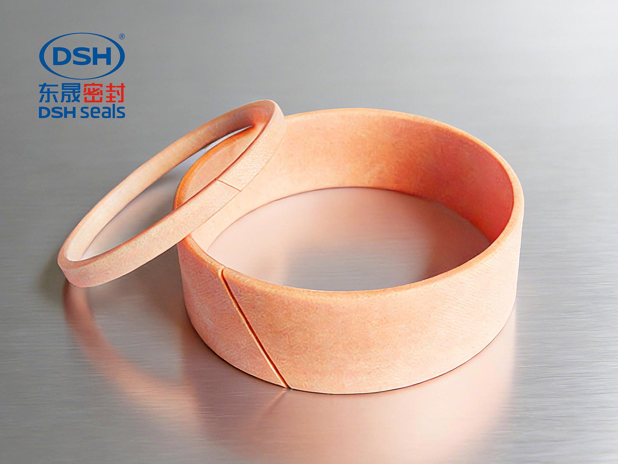 導(dǎo)向環(huán)DST3-450