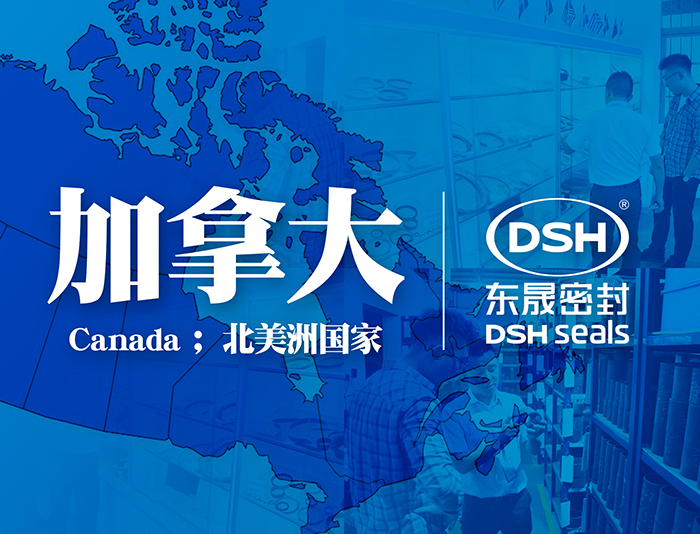 【圖】加拿大石油天然氣行業客戶來訪東晟密封件公司參觀指導工作!