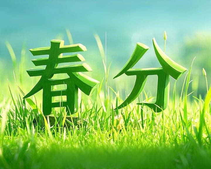 春分啟衡·東晟智封丨0.01毫米的陰陽(yáng)相濟(jì)之道!