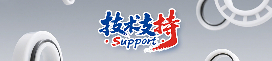 機(jī)械密封件中的支承（密封環(huán)）方式的變形及設(shè)計(jì)要求，您知道多少呢？