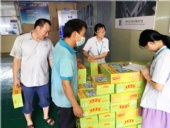 夏日炎炎，東晟密封給你送清涼