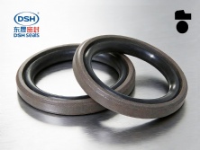 階梯型組合密封件DSD