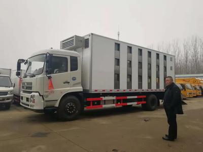 福建仔豬運輸轉(zhuǎn)運車價格實惠，優(yōu)質(zhì)畜禽運輸車推薦