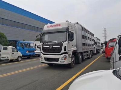 現代化畜禽運輸配套解決方案 衡水半掛運輸車、簡易裝豬臺與自動消毒設備